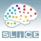 SLICE Stroke Live Course