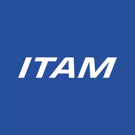 Michelin ITAM 2020 Michelin ITAM 2020