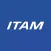 Michelin ITAM 2020