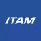Michelin ITAM 2020