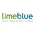 Lime Blue Solutions Ltd