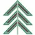Evergreen Golf Club App