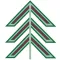 Evergreen Golf Club App