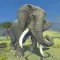 Clan Of Elephant