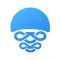 Medusa Browser + VPN