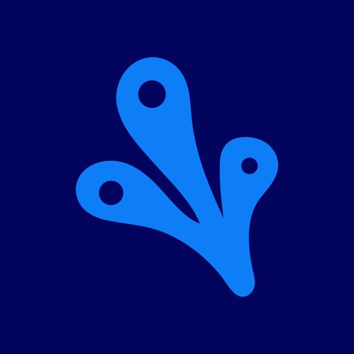 Algae Options Tracker Algae Options Tracker