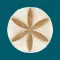 arth: astrology&tarot reading