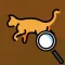 Cat Classifier