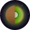 KiWi Habit App