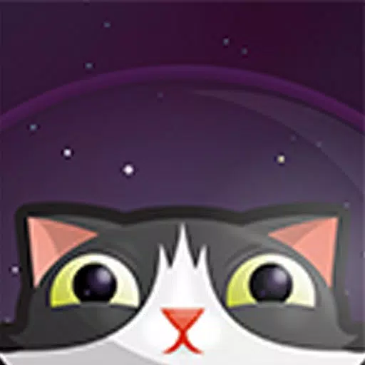 Commander Space Cat Commander Space Cat