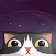 Commander Space Cat