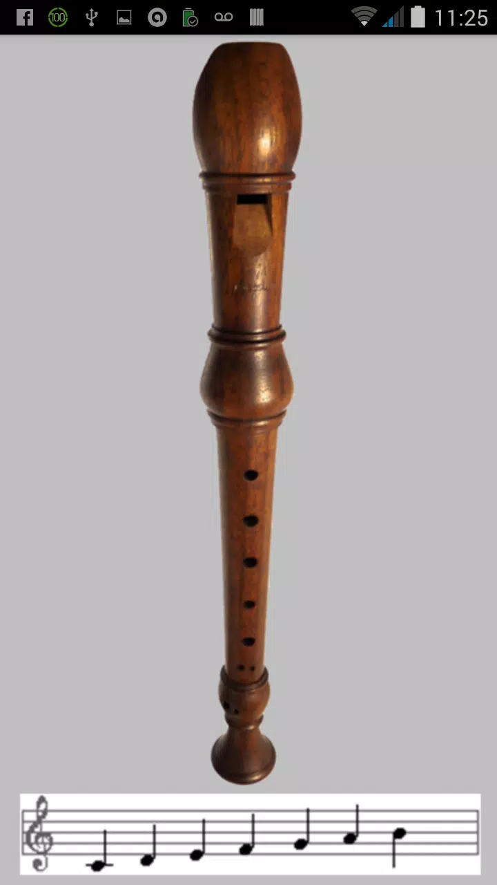 Capturas de pantalla de Wind Instruments Kids musics