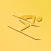 EXA SKI Tracker Premium Gold