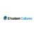 Achieving Excellent Cultures