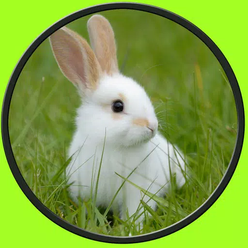 exceptionnal rabbits for kids no ads exceptionnal rabbits for kids no ads