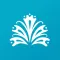 Experience Baha Mar