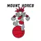 Mount Horeb Troll Classic