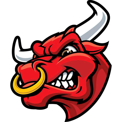 Brevard Bulls