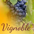 Vignoble