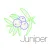 Juniper