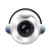 See