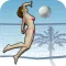 Volleyball To Go