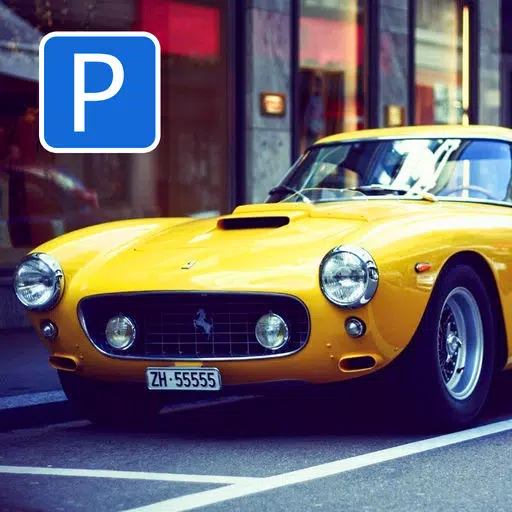 City Car Parking 3D City Car Parking 3D