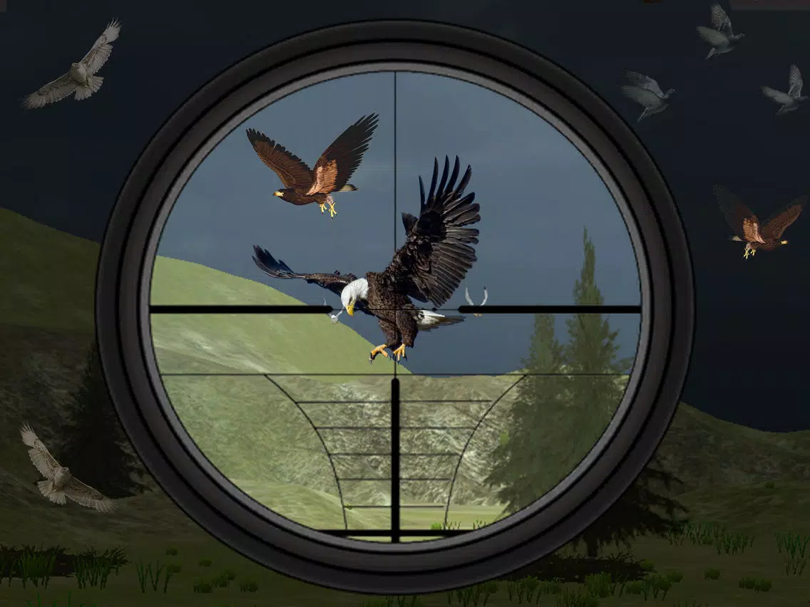 Birds Hunting - Clay Hunt Pro iPad 应用截图