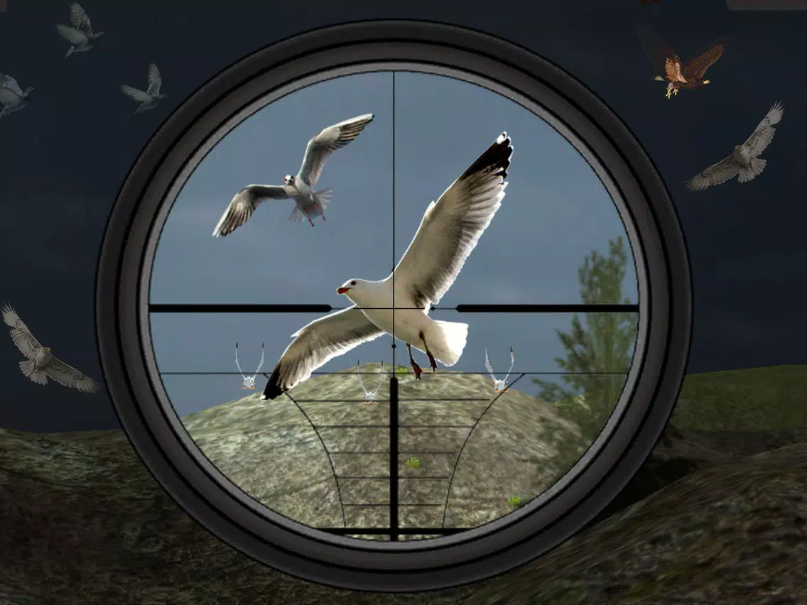 Birds Hunting - Clay Hunt Pro iPad 应用截图