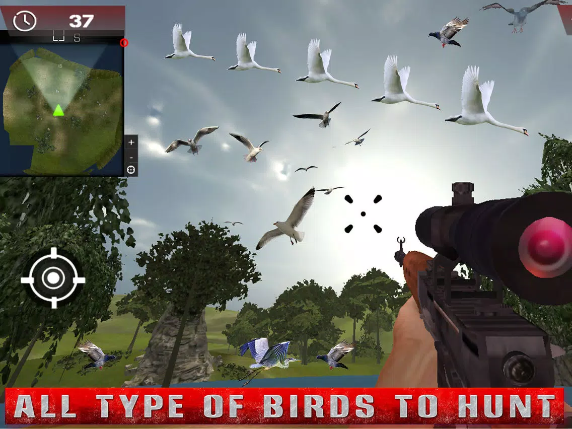 Birds Hunting - Clay Hunt Pro iPad 应用截图