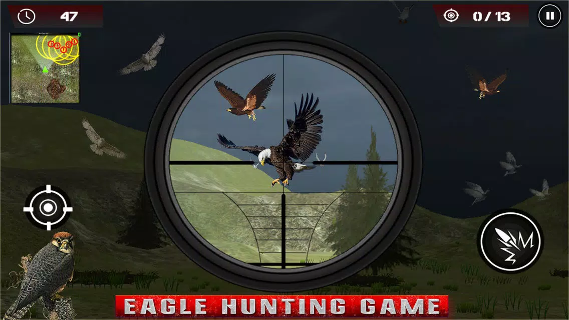Birds Hunting - Clay Hunt Pro应用截图