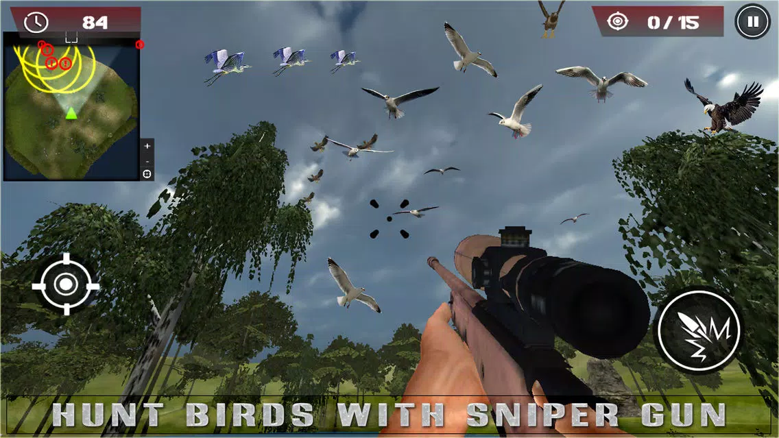 Birds Hunting - Clay Hunt Pro应用截图