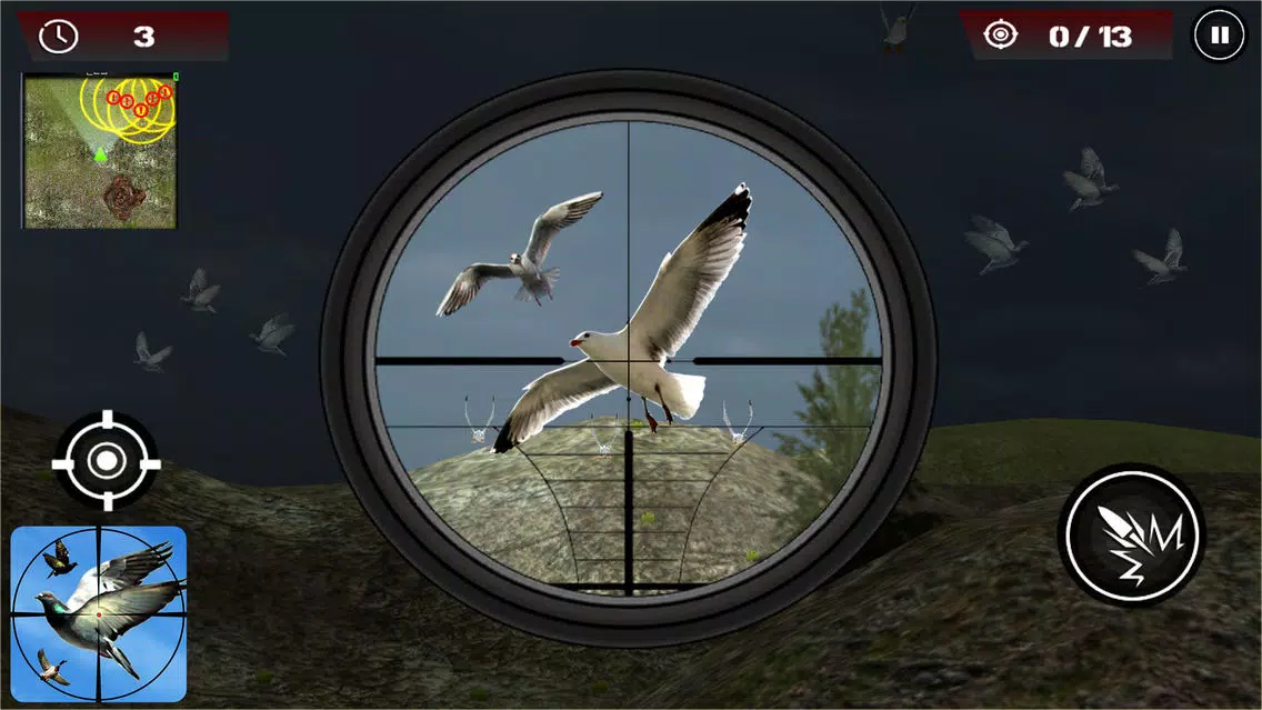 Birds Hunting - Clay Hunt Pro应用截图