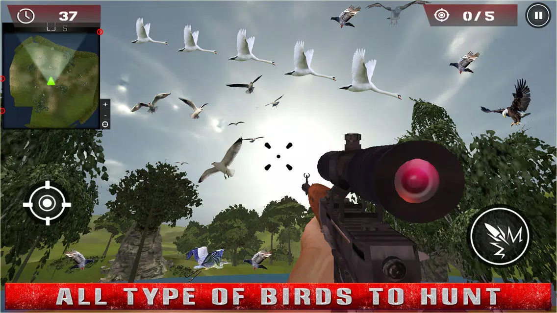 Birds Hunting - Clay Hunt Pro应用截图