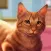 Cat Simulator: Family Farm Sim