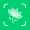 Plant Identifier - Plant ID