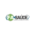 FA Saúde