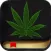 Marijuana Handbook