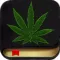 Marijuana Handbook
