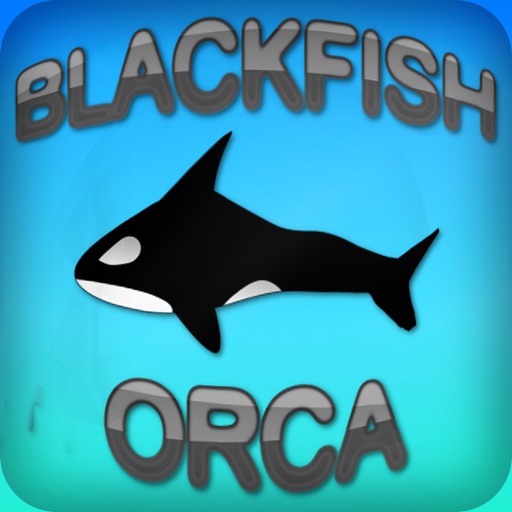 Blackfish Orca Blackfish Orca
