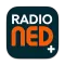 radio NED+