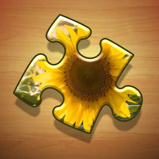 Jigsaw Puzzle