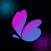 LoveBuzz-LiveStream VideoChat
