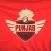 Punjab T20 Cricket Fan App