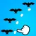 Birds Move