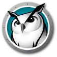 Insight Student