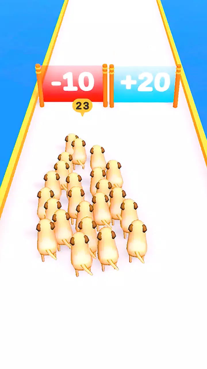 Pets Count Run 3D应用截图