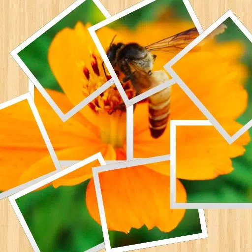 Pictify Photo Collage Pictify Photo Collage