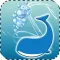 Smarty Whale