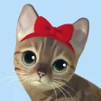 Kitty Cat Resort Kitty Cat Resort